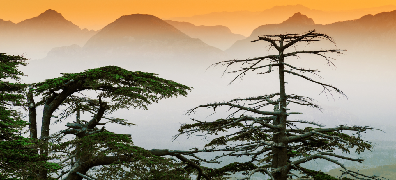 Von: Feel good studio Quelle: Adobe Stock Asset-ID-Nr.: 118697922 croped 1920x1080px