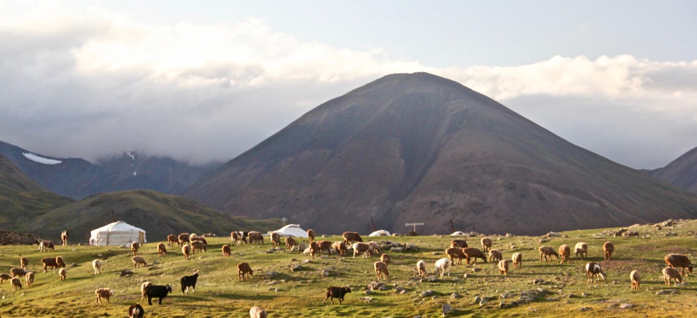 Mongolei Landschaft mit Herdentieren und Yurten