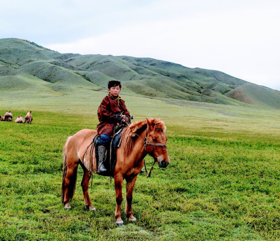 image symbolique Mongolie. Un garçon est assis sur un pony dans une prérie
